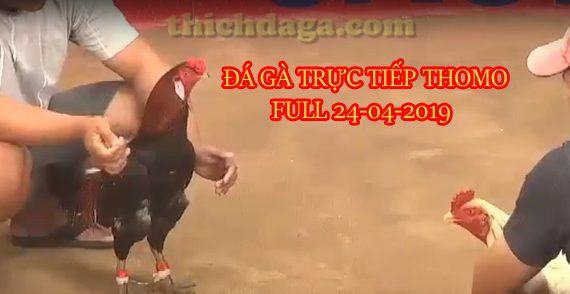 cac-tran-da-ga-truc-tuyen-thomo-moi-nhat-ngay-24-04-2019