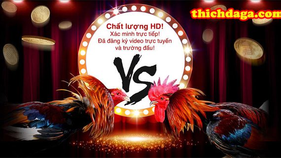 Danh sách những nhà cái đá gà online năm 2019